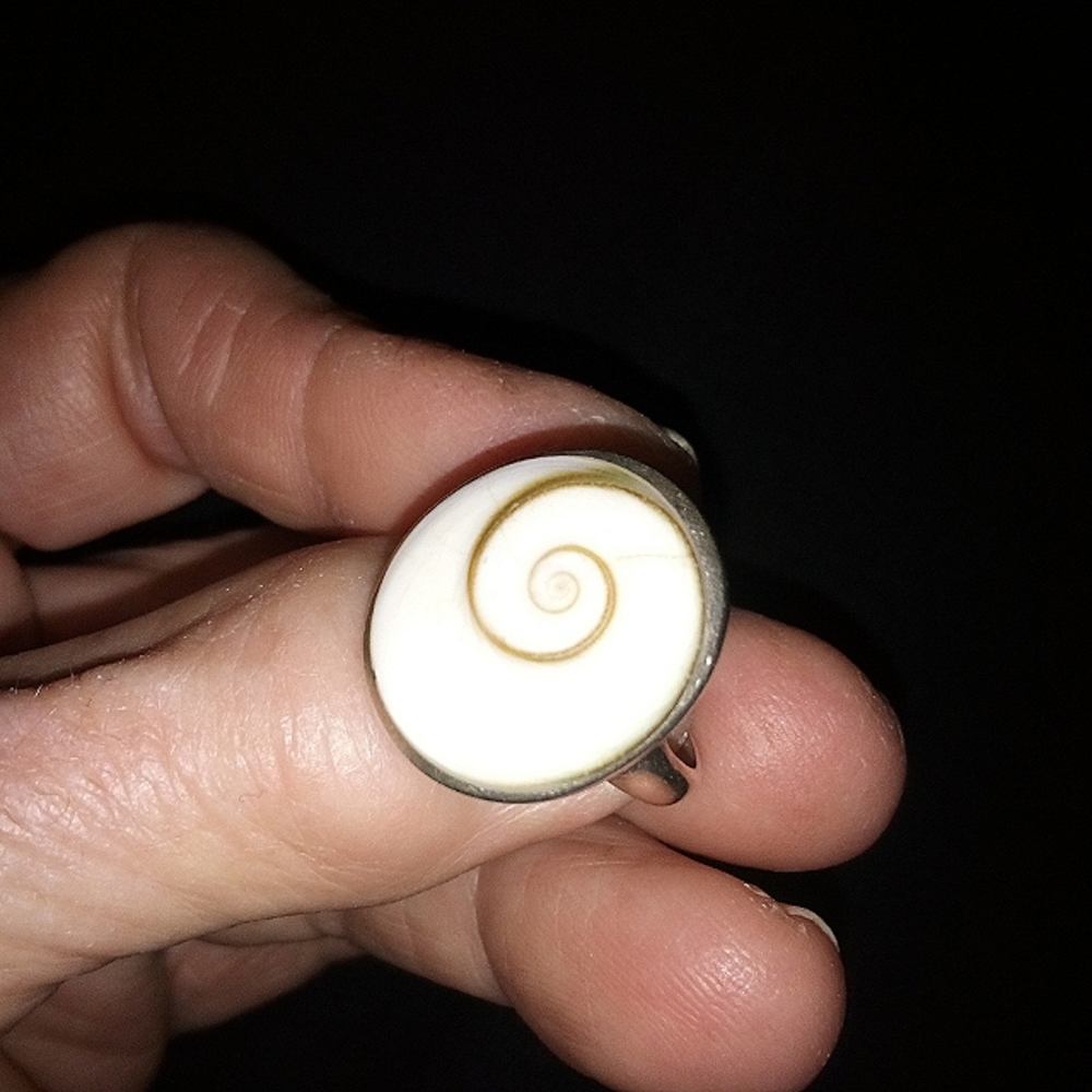 Shiva Shell Ring - image 1